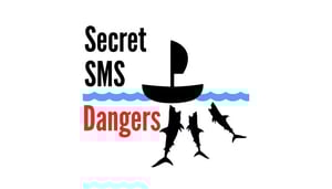 What are common Aviation-SMS-program problems What are common Aviation-SMS-program problems