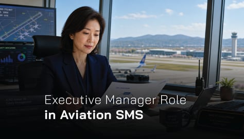 Summary of Accountable Executive SMS Responsibilities for Audit Preparation