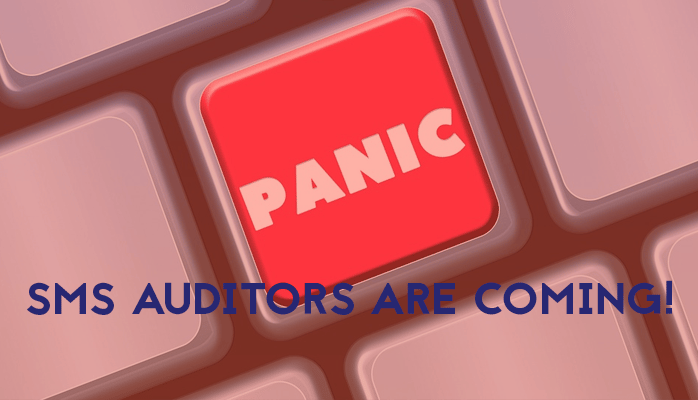 How to Coach Accountable Executives for SMS Audit Preparation