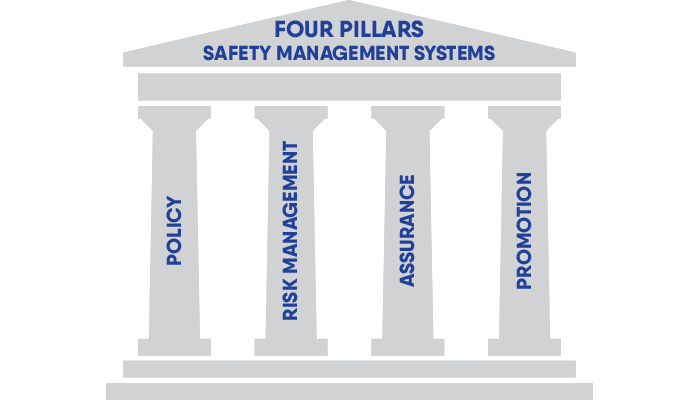 What Are the 4 Pillars of SMS?