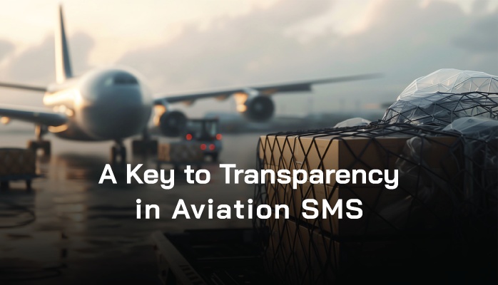 Sample aviation sms manual