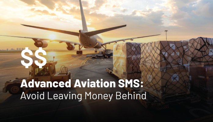 Advanced Aviation SMS: Avoid Leaving Money Behind - Implementation Styles