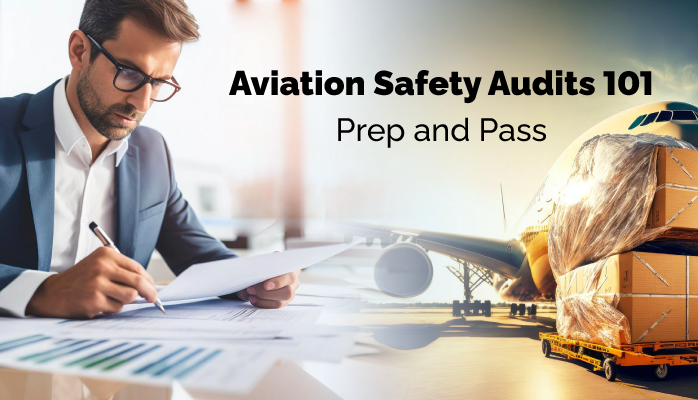 Aviation Safety Audits 101: Prep and Pass - with Examples and Checklists