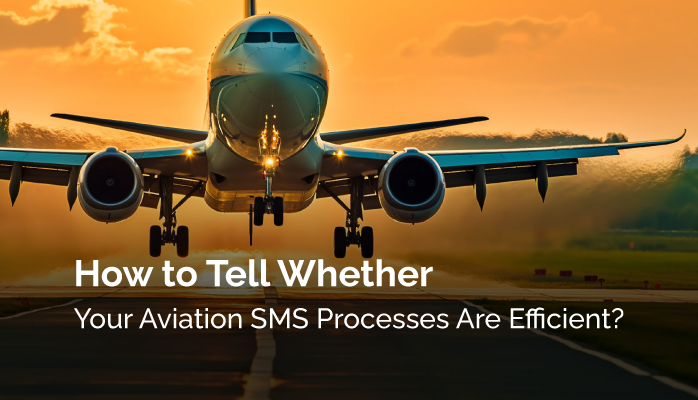 How to Tell Whether Your Aviation SMS Processes Are Efficient?