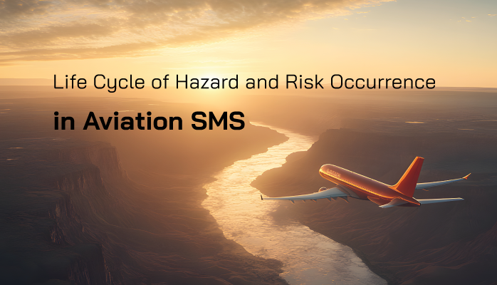 Life Cycle of Hazard and Risk Occurrence in Aviation SMS