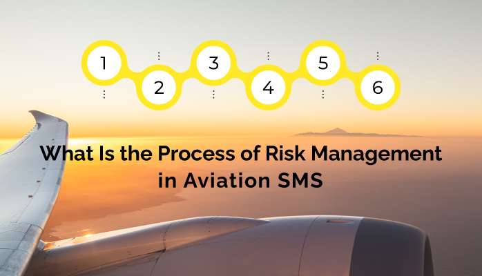 What Is the Process of Risk Management in Aviation SMS