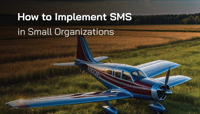 How to Implement SMS in Small Organizations How to Implement SMS in Small Organizations