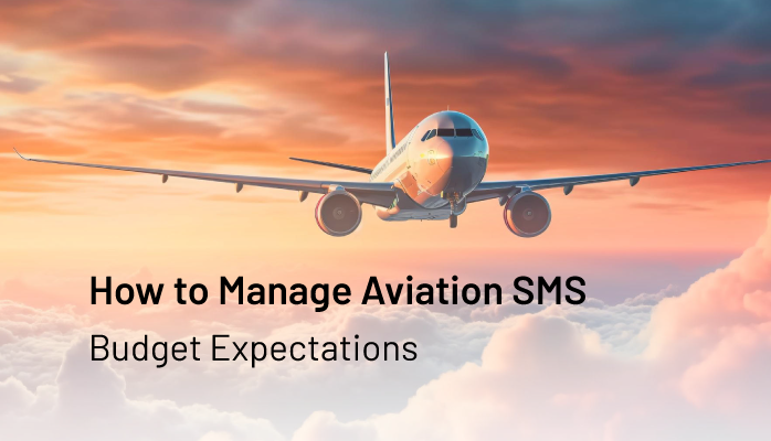 How to Manage Aviation SMS Budget Expectations - for Safety Managers