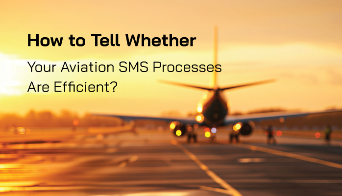 How to Tell Whether Your Aviation SMS Processes Are Efficient?