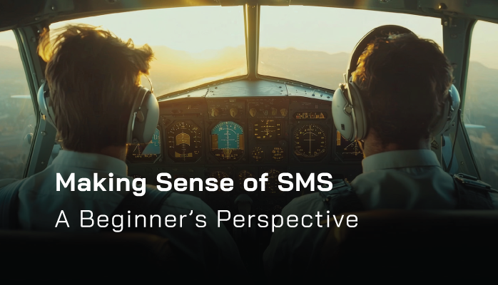 Making Sense of SMS - A Beginner’s Perspective