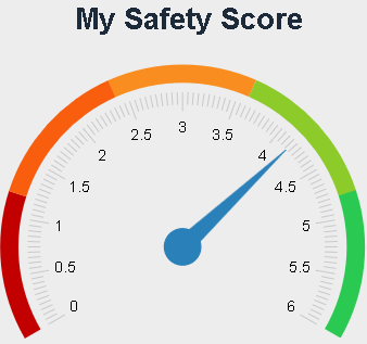 Monitoring Safety Performance of Employees in aviation safety management systems (SMS)