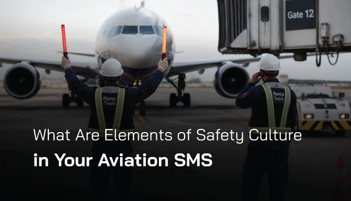 What Are Elements of Safety Culture in Your Aviation SMS