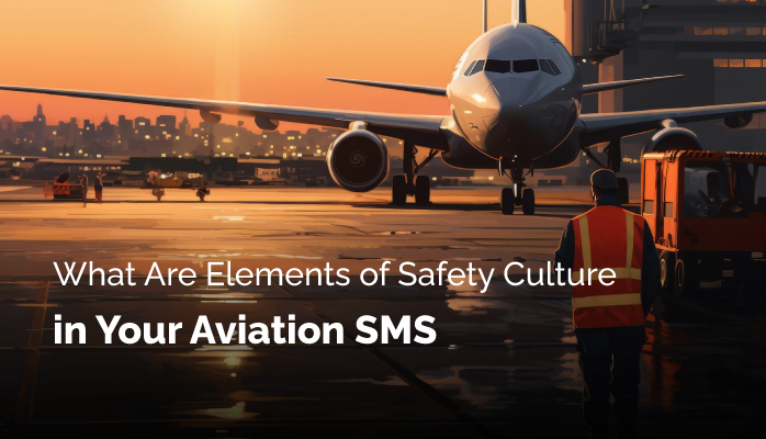 What Are Elements of Safety Culture in Your Aviation SMS