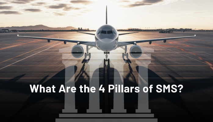 What Are the 4 Pillars of SMS?