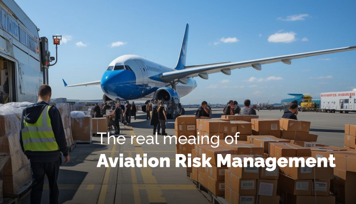 What Does 'Aviation Risk Management' Really Mean?