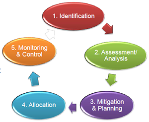 Risk management processes will follow certain procedures that must be documented in an aviation safety database or Word files.